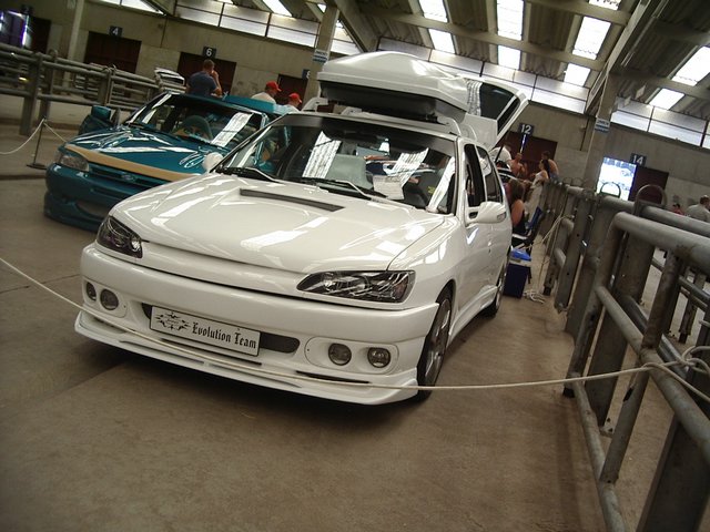 IMGP8729.JPG