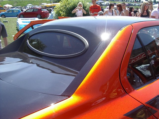 IMGP8740.JPG
