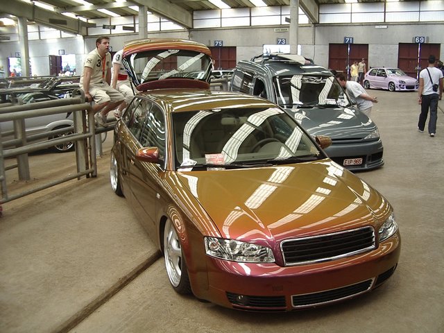 IMGP8771.JPG