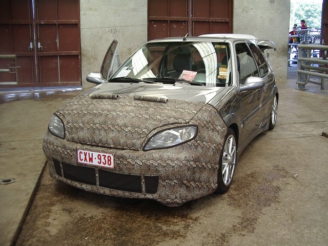 IMGP8780.JPG