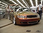 IMGP8770.JPG