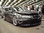 IMGP8796.JPG