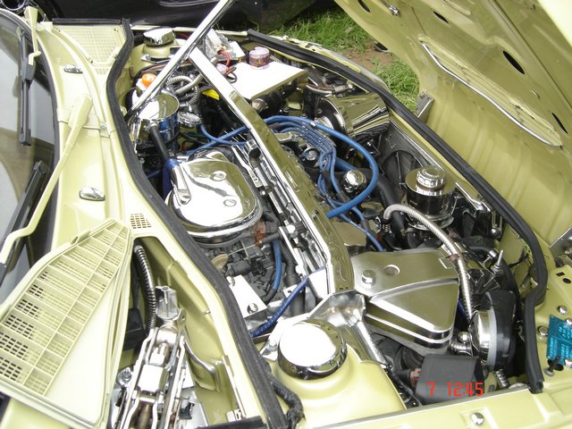 DSC00085.JPG