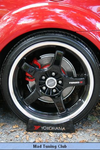 IMG_5252.JPG