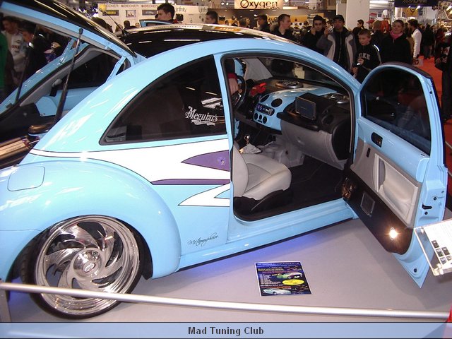 IMGP7445.JPG
