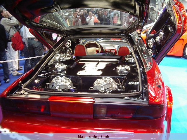 IMGP7462.JPG