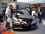 IMGP7450.JPG