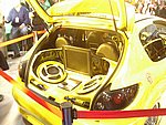 IMGP7547.JPG