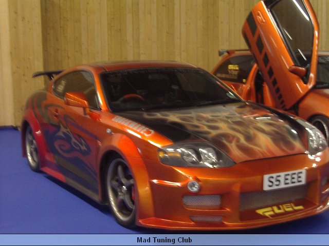 IMGP7236.JPG