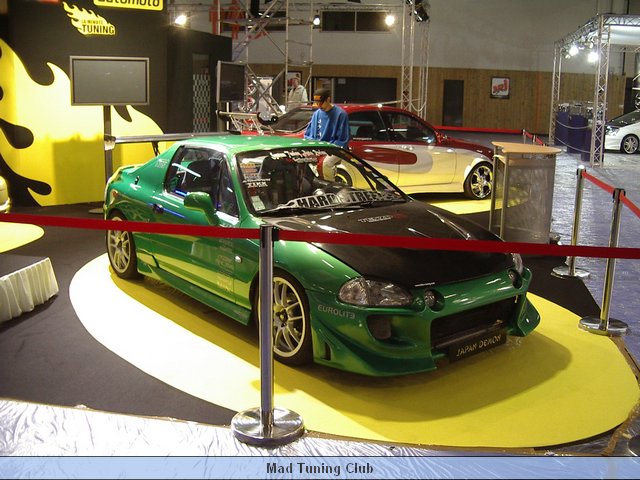 IMGP7355.JPG