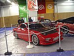 IMGP7230.JPG