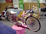 IMGP7287.JPG