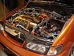 IMGP7301.JPG