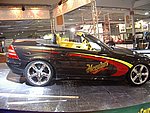 IMGP7308.JPG