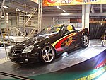 IMGP7311.JPG