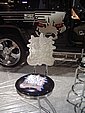 IMGP7316.JPG