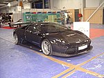 IMGP7325.JPG