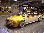 IMGP7344.JPG