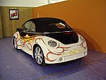 IMGP7372.JPG