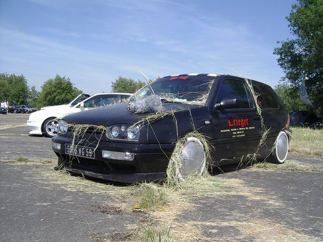 IMGP8525.JPG