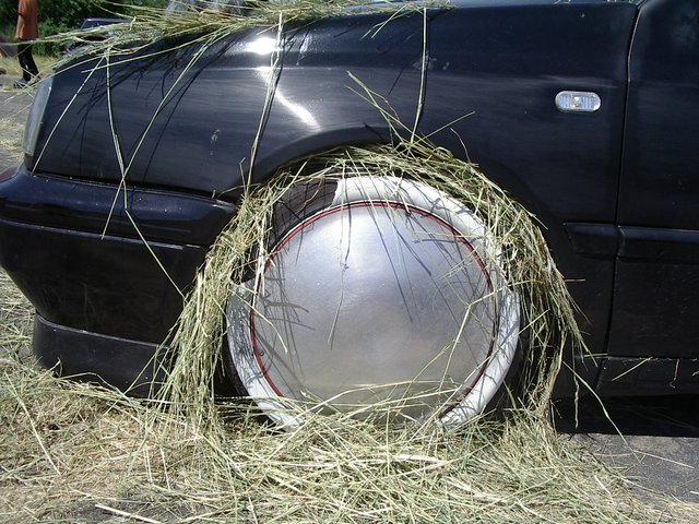 IMGP8527.JPG