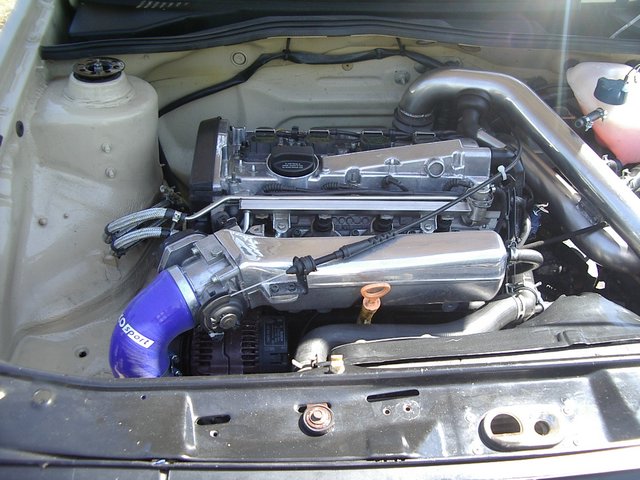 IMGP8535.JPG